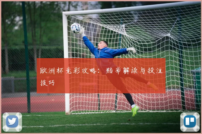 欧洲杯竞彩攻略：赔率解读与投注技巧