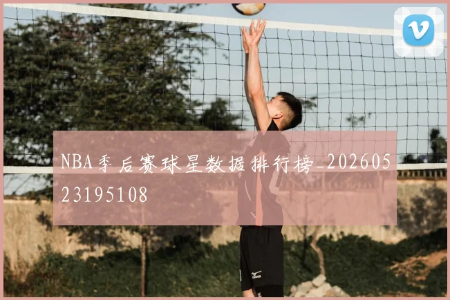 NBA季后赛球星数据排行榜_20260523195108